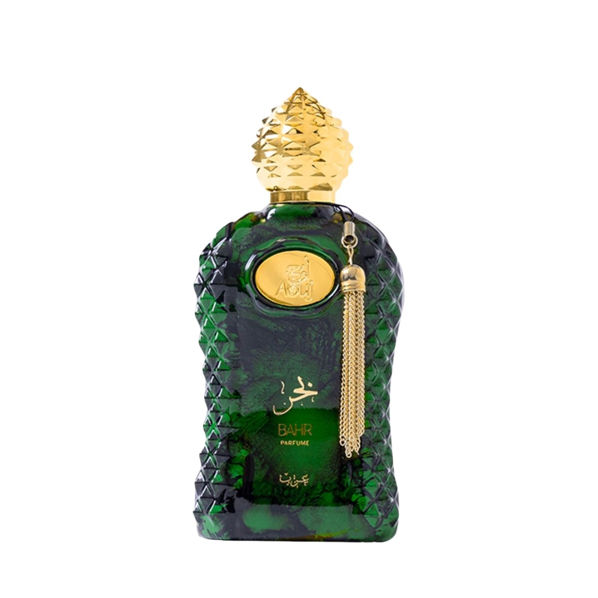 Aouj bahr AOUJ Bahr – houtachtig amber herenparfum 100 ml - Afbeelding 1