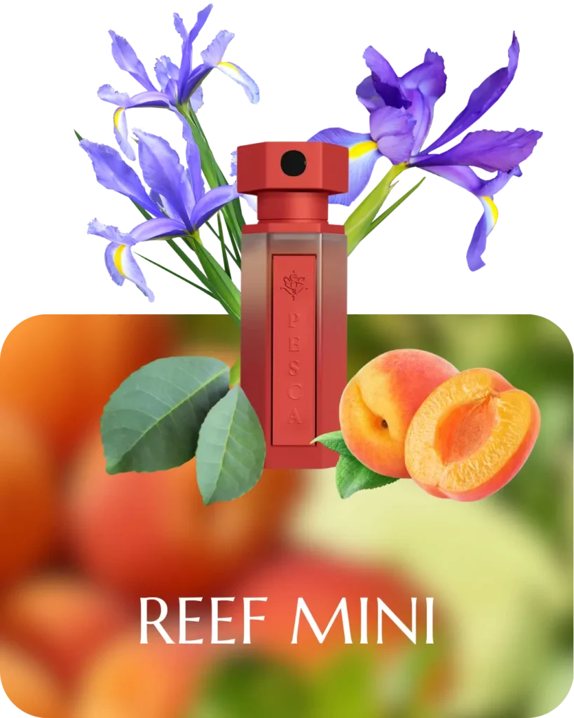 REEF Mini